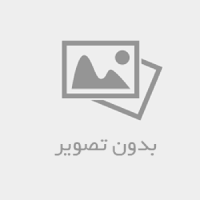 زندگی نامه شهید دکتر حسین ناصری عبدلگانی